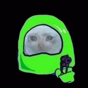 Meet your Posher, Oliver